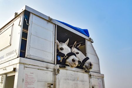 A new era for Cathay Cargo’s We Know How message