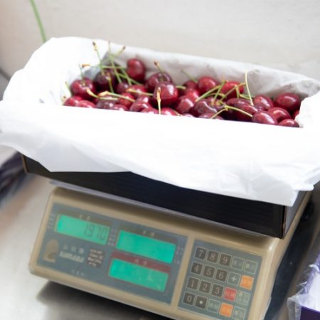 Cherries on weighing scale