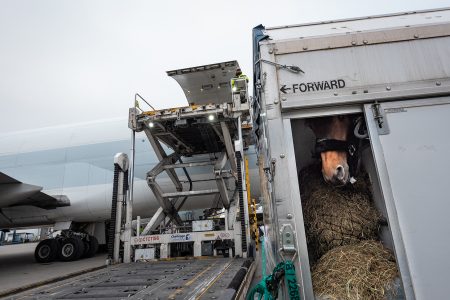 在列日登機當天,其一頭駿馬乘客在享受前起飛前小食